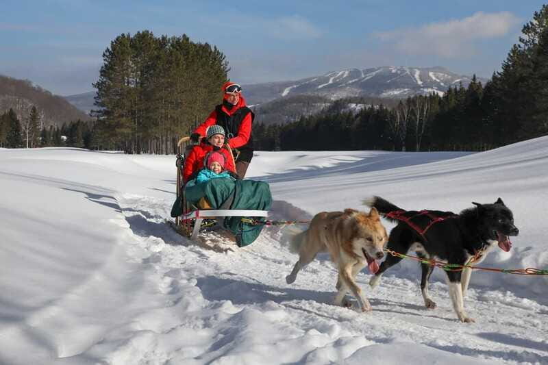 Mont-Tremblant: Guided Dogsledding Tour with Hot Chocolate - Who Should Book (and Who Should Skip)