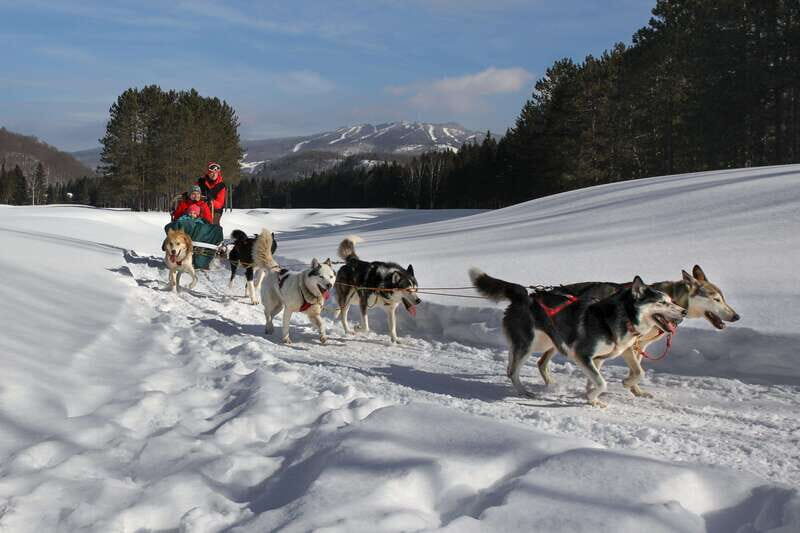 Mont-Tremblant: Guided Dogsledding Tour with Hot Chocolate - Practical Tips That Make the Tour Feel Easier