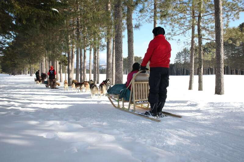 Mont-Tremblant: Guided Dogsledding Tour with Hot Chocolate - Driving the Sled: What You Need to Know About Switching Seats