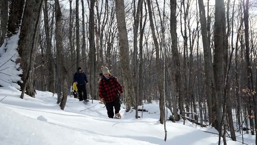 Mont-Tremblant: Guided Snowshoe Tour - Why snowshoeing on the Tremblant resort trails feels special