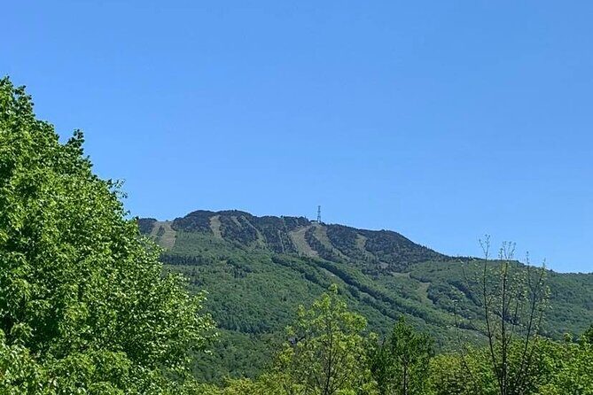 Mont Tremblant Private Day Tour from Montreal - Price and value: what you’re paying for at $335 per person