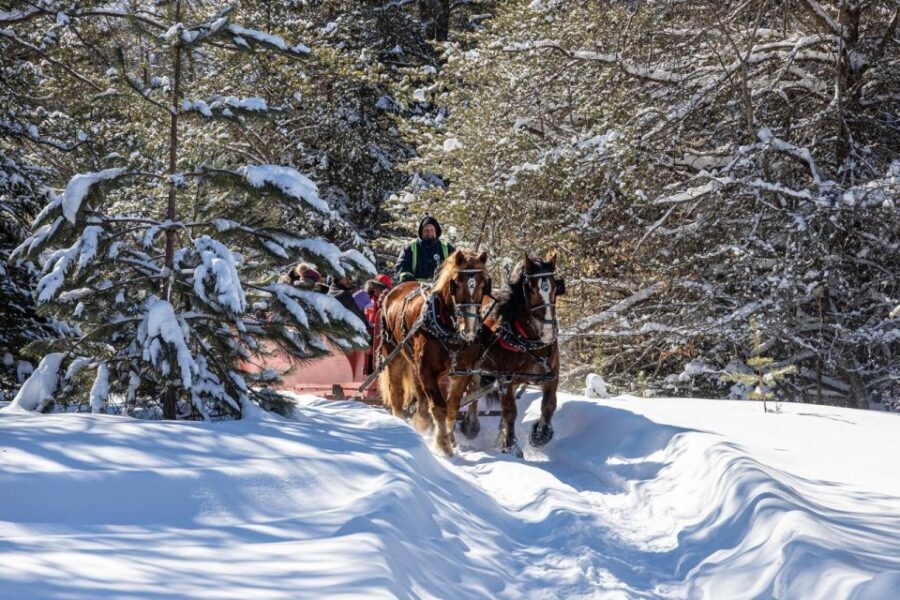 Mont-Tremblant: Sleigh Ride w/ Storytelling & Hot Chocolate - Key Things to Know Before You Go
