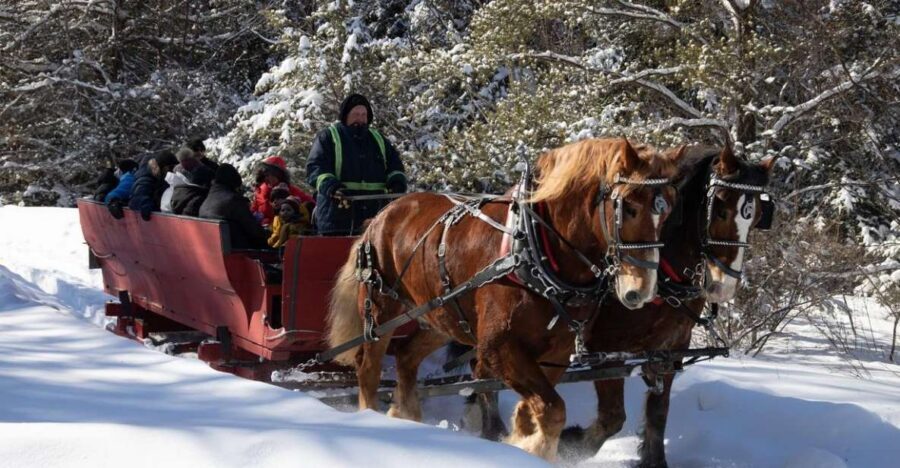 Mont-Tremblant: Sleigh Ride w/ Storytelling & Hot Chocolate - From Fields to Forest: What This 1-Hour Ride Feels Like
