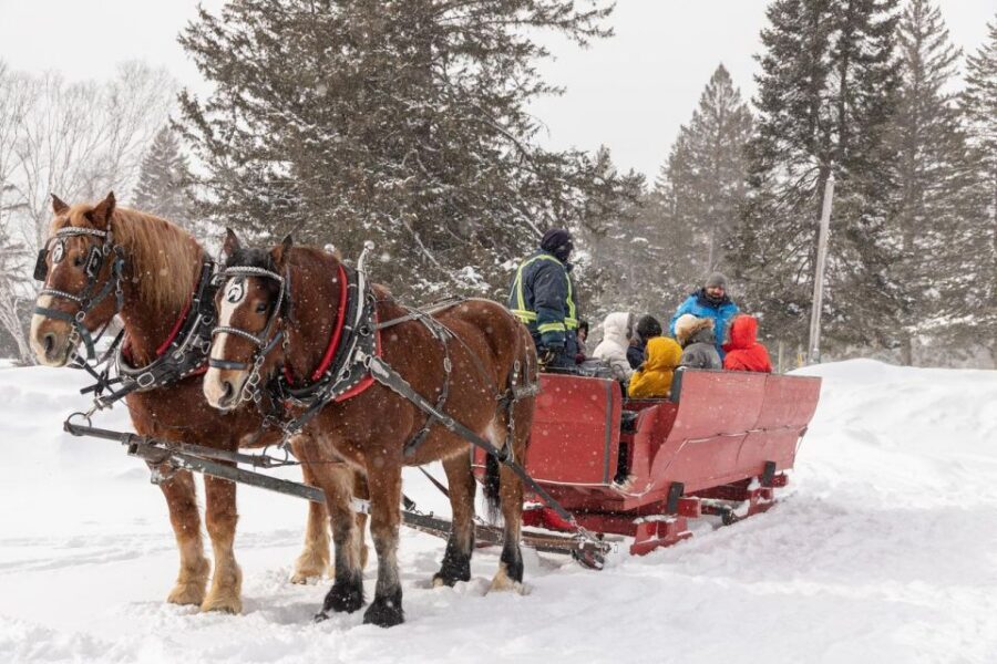Mont-Tremblant: Sleigh Ride w/ Storytelling & Hot Chocolate - Mapple Candy Timing: A Small Treat With Seasonal Timing