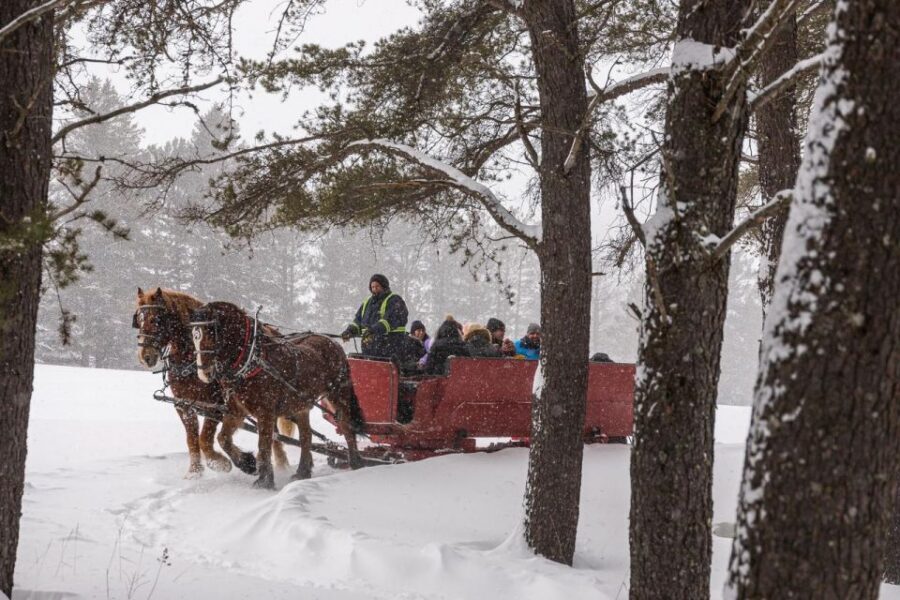 Mont-Tremblant: Sleigh Ride w/ Storytelling & Hot Chocolate - Price Value: Is $44 Worth It for One Hour?