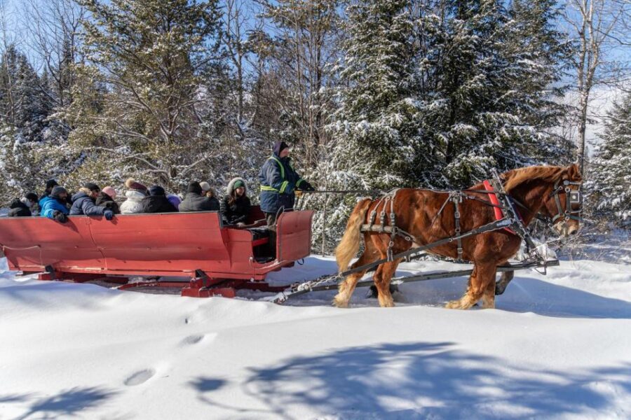 Mont-Tremblant: Sleigh Ride w/ Storytelling & Hot Chocolate - The Storyteller/Musician Moment: Folklore You Can Actually Follow