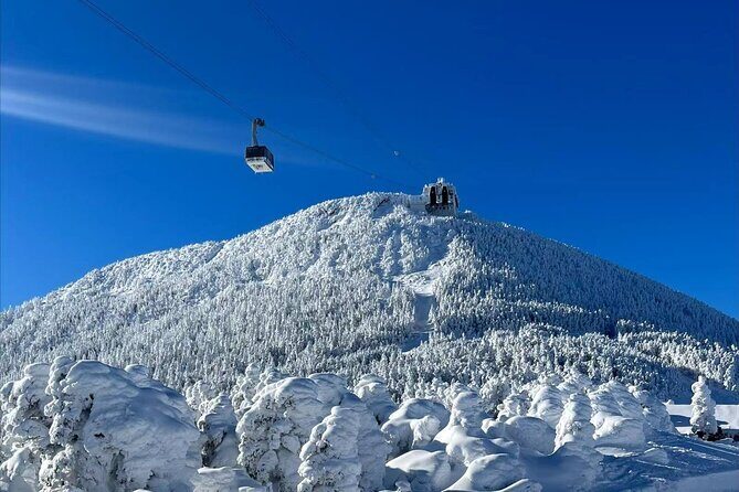 Mont Tremblant Winter Day Trip from Montreal - Pickup from Montreal: the part that makes or breaks your morning