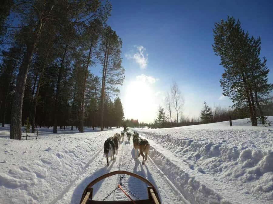 Mont-Tremblant Winter Day Trip (with Gondola Ride) - Panoramic gondola ride: the summit views are the big reason to book