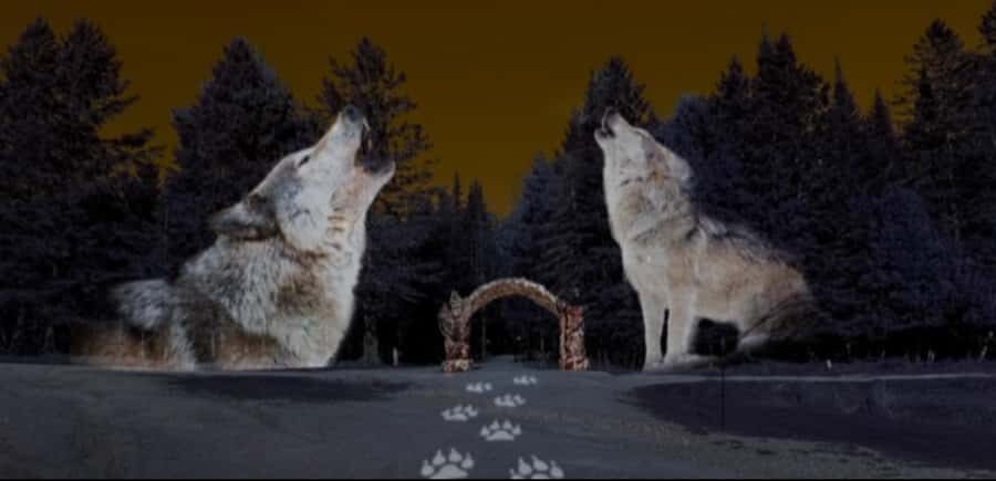 Montebello, QC: Omega Park ONIRO Immersive Experience at Night - Projections, Music, and Voices: How the Show Actually Works