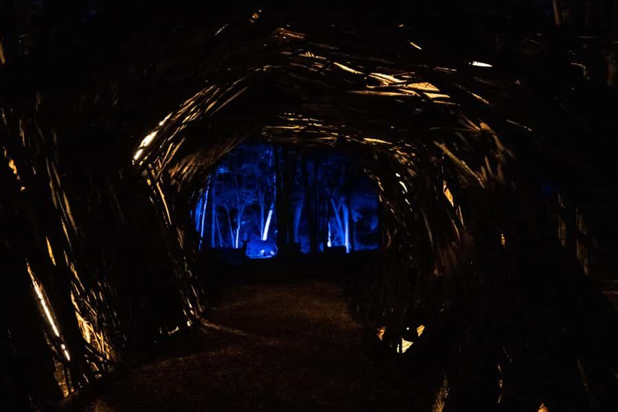 Montebello, QC: Omega Park ONIRO Immersive Experience at Night - The Story Centerpiece: Wolf Cub Oniro and Animal Dreams
