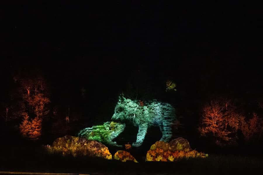 Montebello, QC: Omega Park ONIRO Immersive Experience at Night - My Booking Call: Should You Book Oniro at Omega Park?