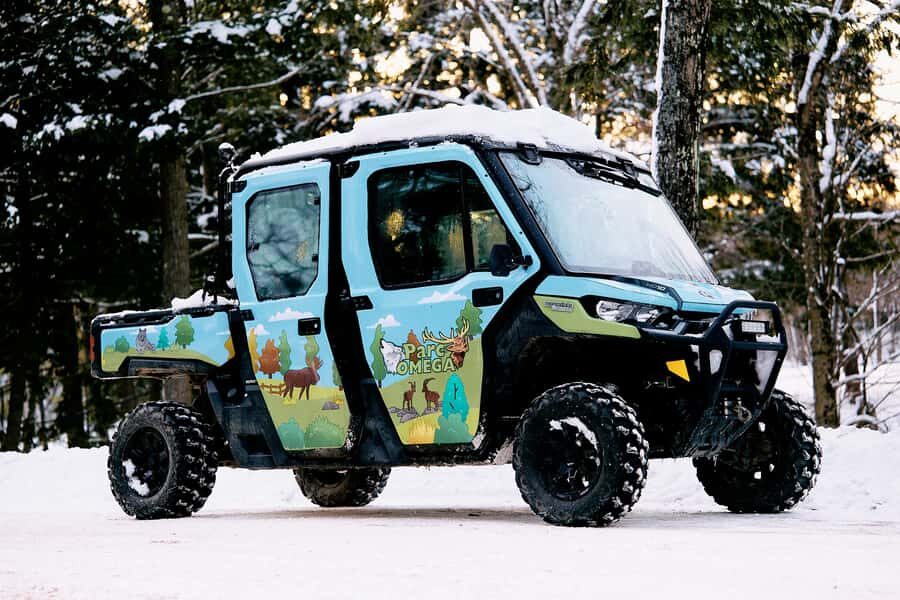 Montebello, QC: Parc Omega Guided Animal Feeding in an All-Terrain Vehicle - Key things to know before you book