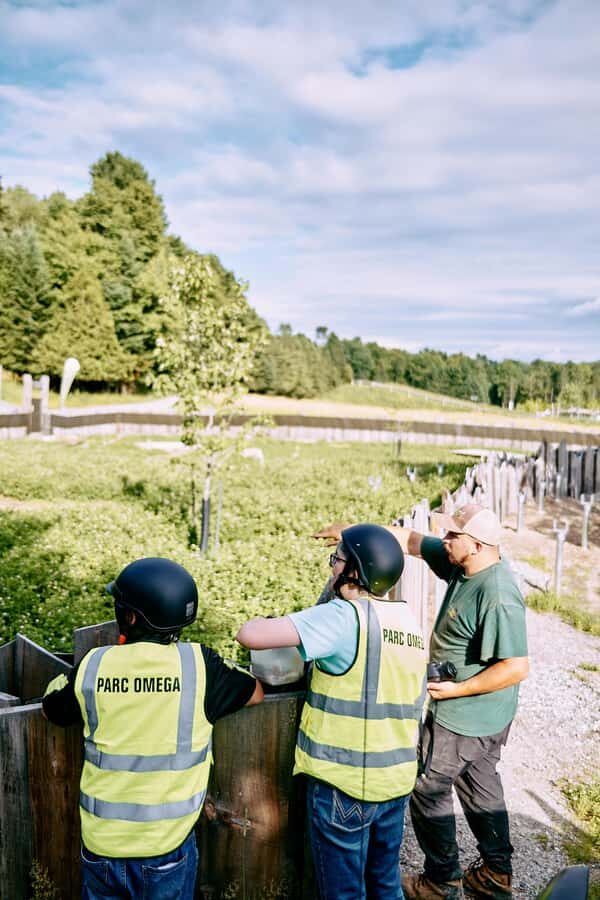 Montebello, QC: Parc Omega Guided Animal Feeding in an All-Terrain Vehicle - Meeting your ATV guide at Parc Oméga’s accommodation parking lot