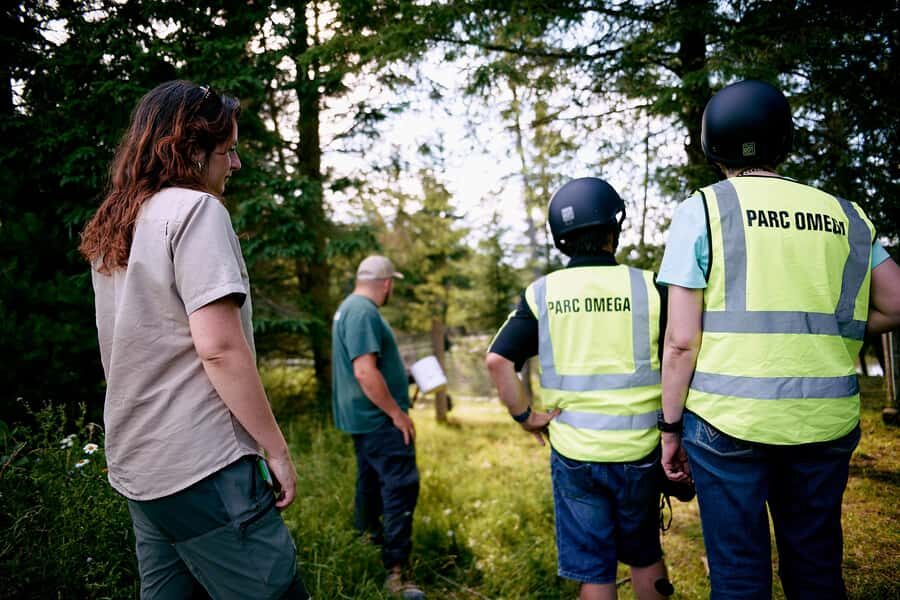 Montebello, QC: Parc Omega Guided Animal Feeding in an All-Terrain Vehicle - Exclusive access: what’s different about these park areas