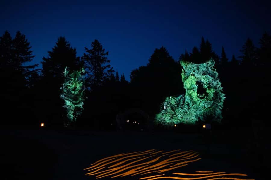 Montebello, QC: Parc Omega ONIRO Immersive Experience at Night - Parc Oméga at Night: What the Oniro Trail Feels Like
