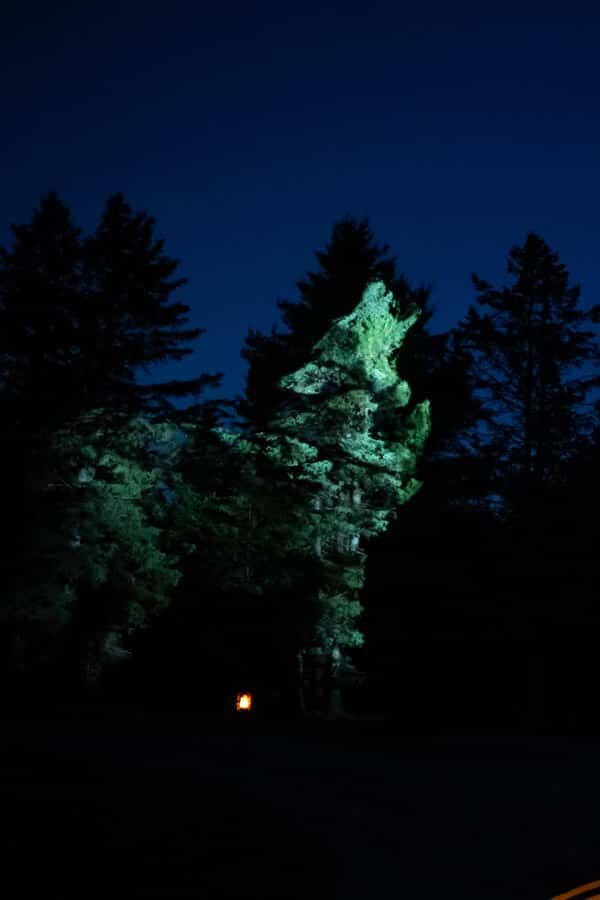 Montebello, QC: Parc Omega ONIRO Immersive Experience at Night - Price and Value: Is $24 Worth It?