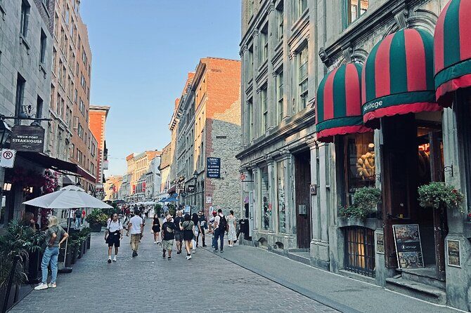 Montreal: 3-Hour Private Car Tour with Expert & Free Pick up - Key highlights