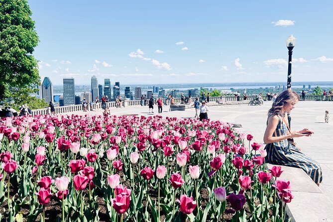 Montreal: 3-Hour Private Car Tour with Expert & Free Pick up - Place Jacques-Cartier and the route’s story stops: where photos meet facts