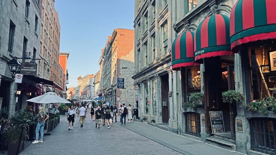 Montreal: 3-Hour Private Car Tour with Expert & Free Pickup - Price and Value: $340 for Up to 4 People