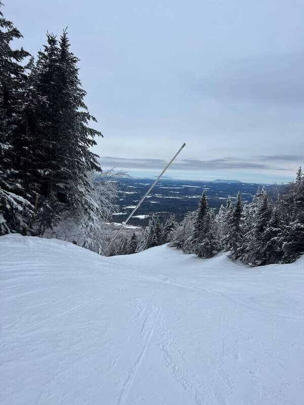 Montreal: Canadian Forest Guided Tour by Snowmobile - The Olympia Mount Focus: Riding Deeper Into the Laurentides
