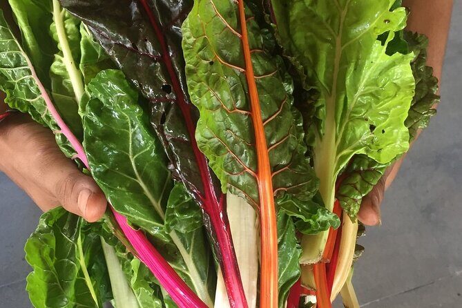 Montreal Cooking Class & Wine Tasting with Michelin Chef Robert - Dietary needs, allergies, and the house-cat detail
