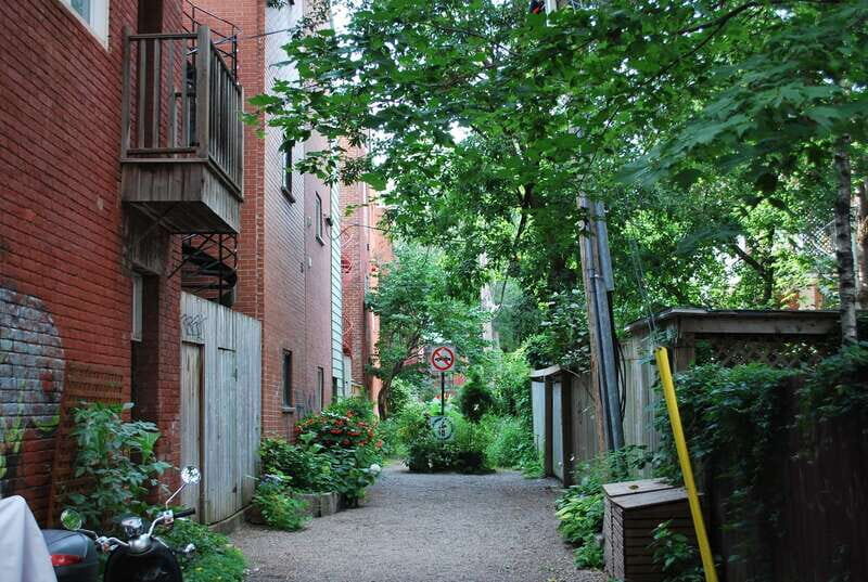 Montreal: Full-Day Small Group City Tour - Small tour vs. DIY: who this is best for