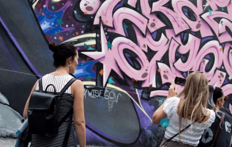 Montreal: Guided Walking Tour of Montreal's Murals - The muralist movement in Montreal: from national themes to local identity