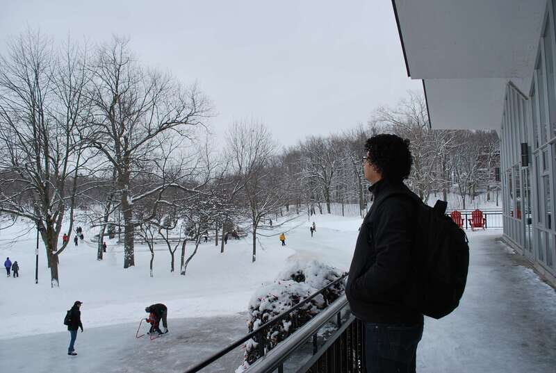 Montreal: Half-Day City Tour - Van rides, small groups, and how to time your photos