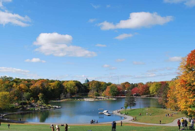 Montreal: Half-Day City Tour - Price check: is $98 worth it?