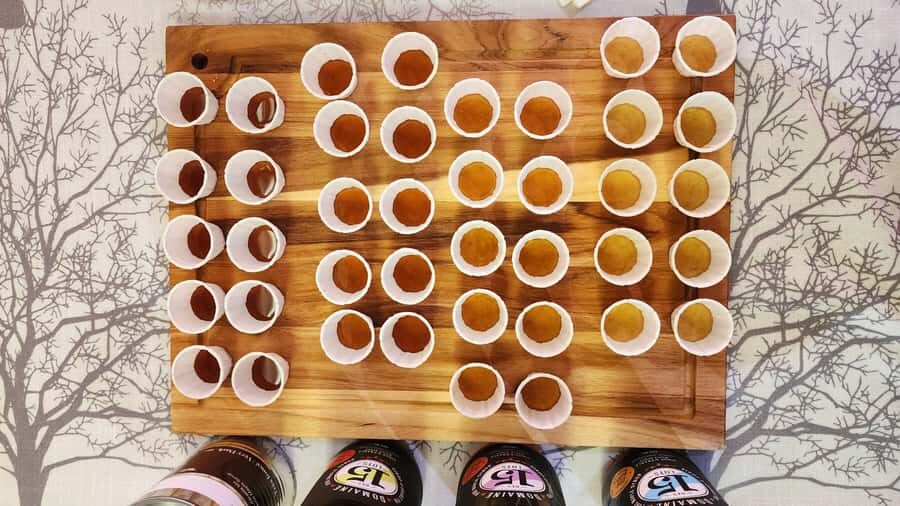 Montreal: Maple syrup tasting and conference - What you taste: four maple syrups plus 10 maple products