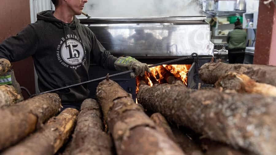 Montréal: Maple Syrup Tasting Conference! - What the four syrup categories mean for what you buy
