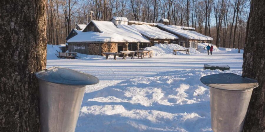 Montreal: Maple Syrup Tour with Sugar Shack & Local Cuisine - A classic cabane à sucre day trip, built for maple lovers
