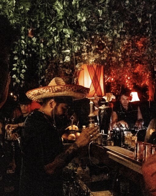 Montreal Old Port: Tequila & Mezcal Tasting/101 Course - Who should book this Montreal Old Port tequila and mezcal experience