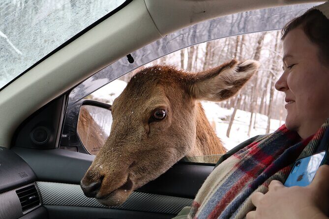 Montreal: Omega Park Canadian Wildlife Safari Adventure - How the sound-led safari works (and why it’s different)