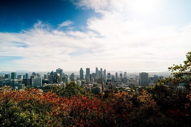 Montreal Premium Driving Tour with River Cruise and Notre Dame - St. Lawrence River cruise (seasonal) vs La Grande Roue