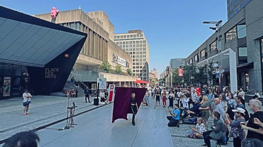 Montreal: Private 2h Walking Tour RESO and Old Montreal - From MMFA to Old Port: a 2-hour route that makes Montreal click