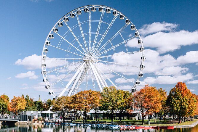 Montréal Scavenger Hunt and City Highlights Walking Tour - Who should book this hunt, and who might not love it