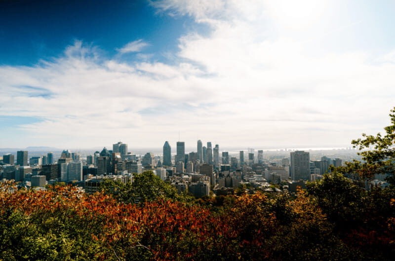 Montreal: Small Group Tour with River Cruise and Notre Dame - The St. Lawrence River Cruise: The Part You’ll Feel Most