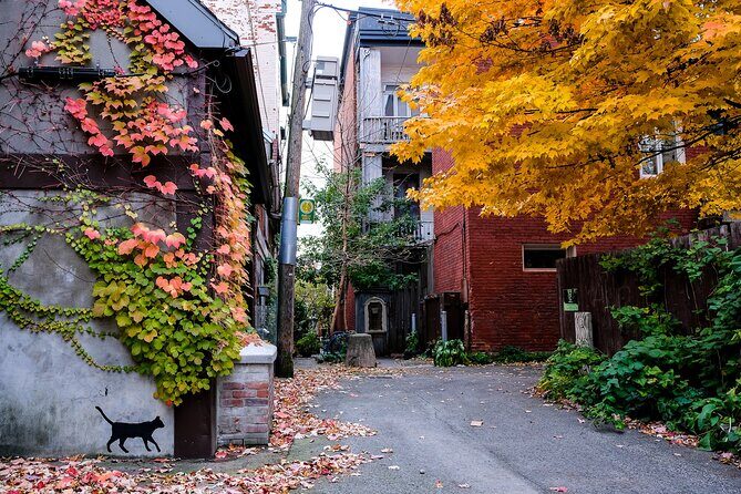 Montreal's Plateau Mont-Royal and Mile End Tour by MTL Detours - Timing, Comfort, and Weather: How to Set Yourself Up for a Great Walk