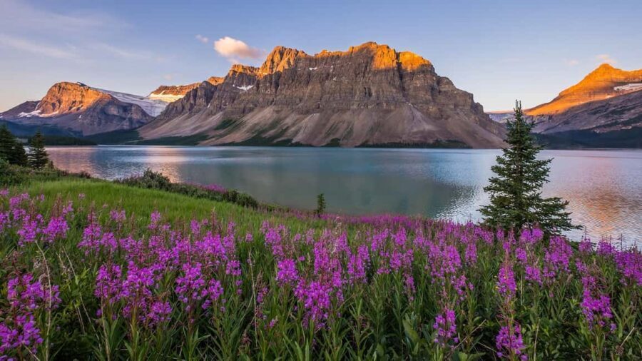 Moraine Lake and Iconic Sights of the Rockies Private Tour - Private access on Moraine Lake Road, plus the Icefields Parkway classics