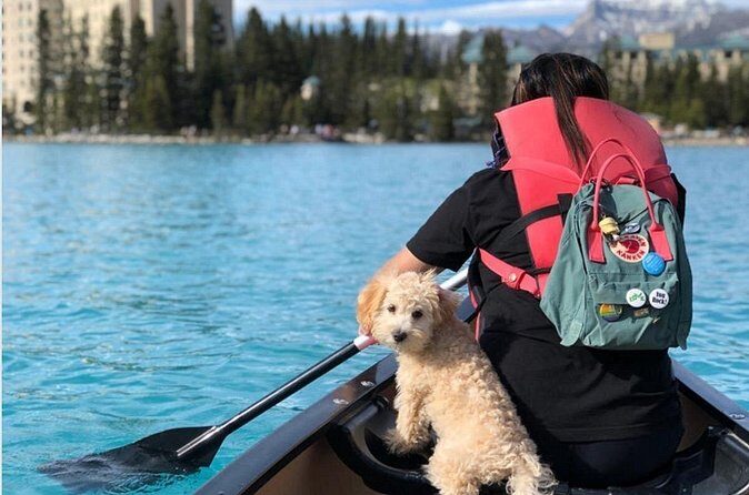 Moraine Lake and Lake Louise Shuttle | End of Summer Seat Sale! - Moraine Lake Pile of Rocks Viewpoint: The Most Iconic Stop