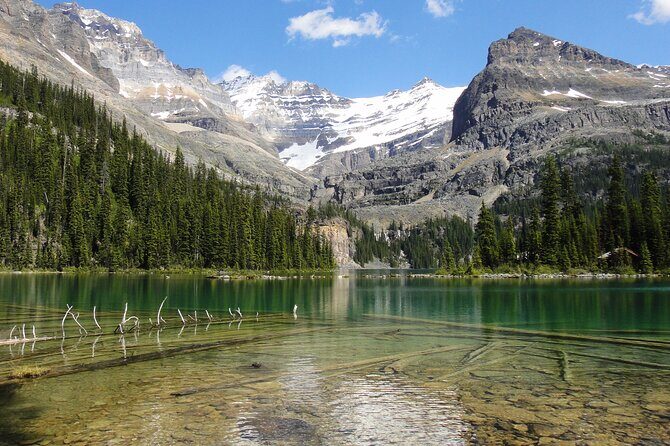 Moraine Lake and Lake Louise Sightseeing Half Day Tour - Stop 1: Lake Louise shoreline views, stories, and photo time