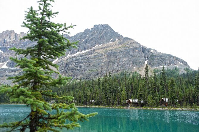 Moraine Lake and Lake Louise Sightseeing Half Day Tour - Stop 2: Moraine Lake Rockpile Trail and the Ten Peaks viewpoint