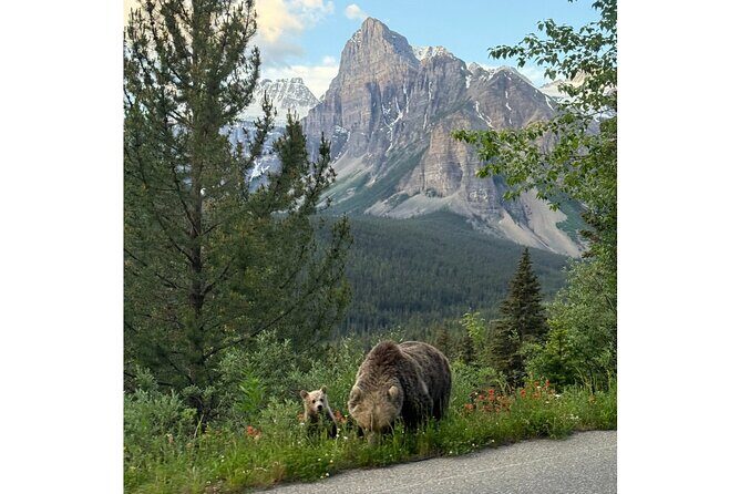 Moraine Lake, Lake Louise Afternoon Tour Half day From Banff - Why this half-day Moraine + Lake Louise tour works