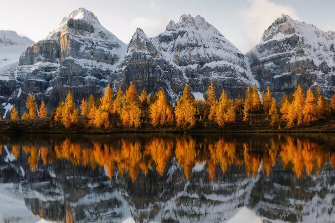 Moraine Lake & Lake Louise Sunset & Wildlife Adventure - Lake Louise at sunset: a calm hour with a glacier backdrop