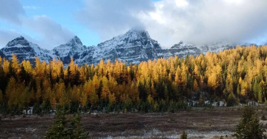 Moraine Lake & Larch Valley Hike - Key highlights at a glance