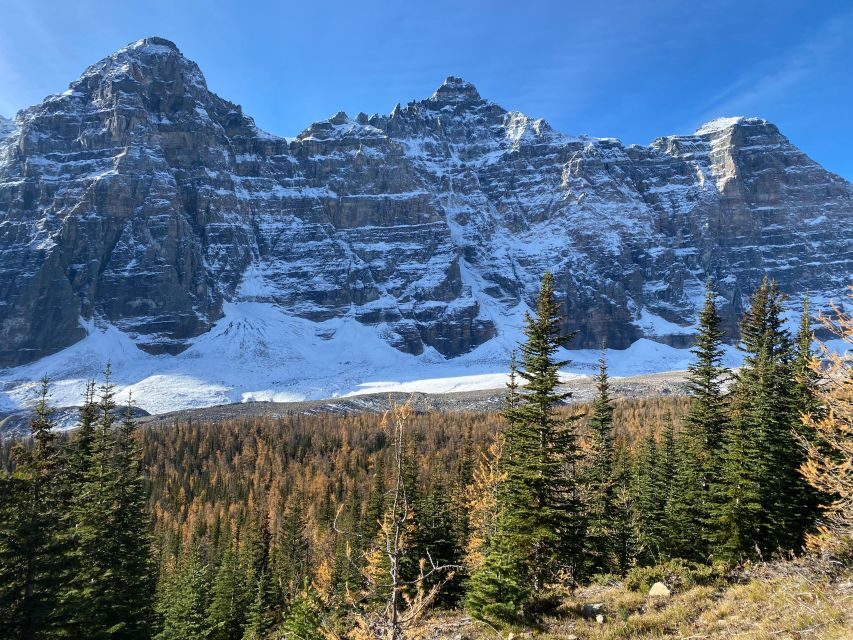 Moraine Lake & Larch Valley Hike - Price and value: is $137 per person fair for this day?