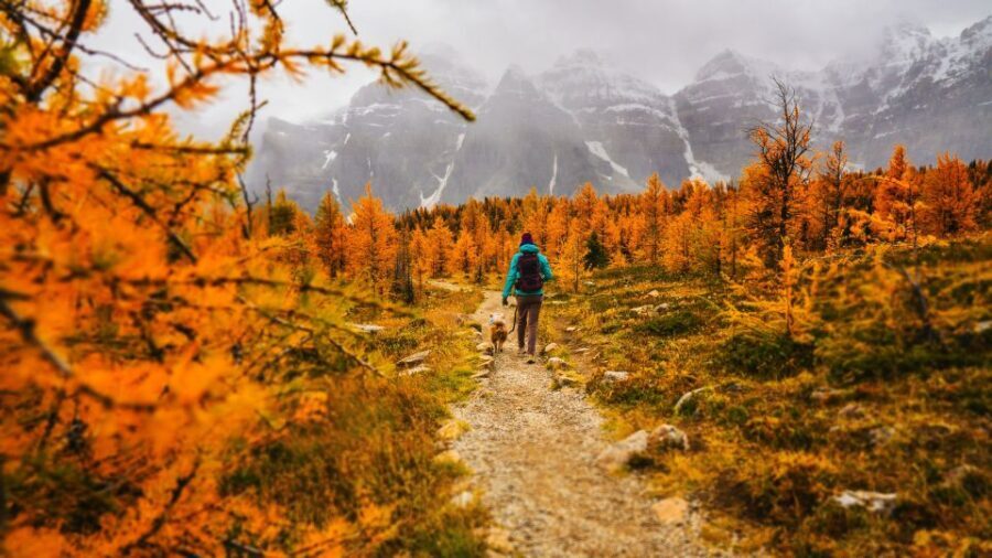 Moraine Lake & Larch Valley Hike - Who this tour is best for (and who should skip it)