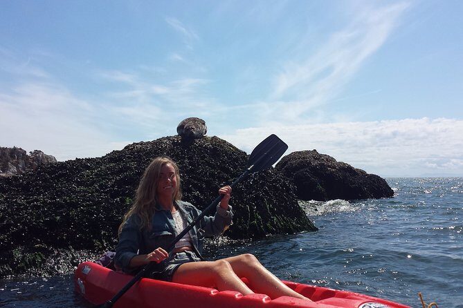 Morning Kayak & Seal Cruise in Vancouver - Key highlights worth your attention