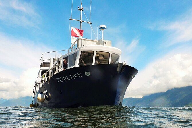 Morning Kayak & Seal Cruise in Vancouver - What a 2-hour morning trip really gives you